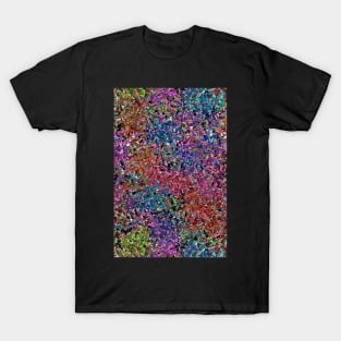 Color Carnival T-Shirt